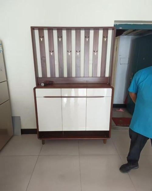 Shoe Cabinet X1101
