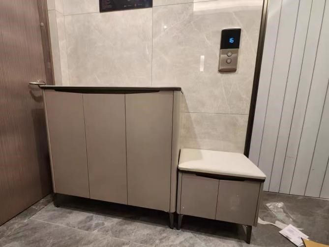 Lacquered Shoe Cabinet X320